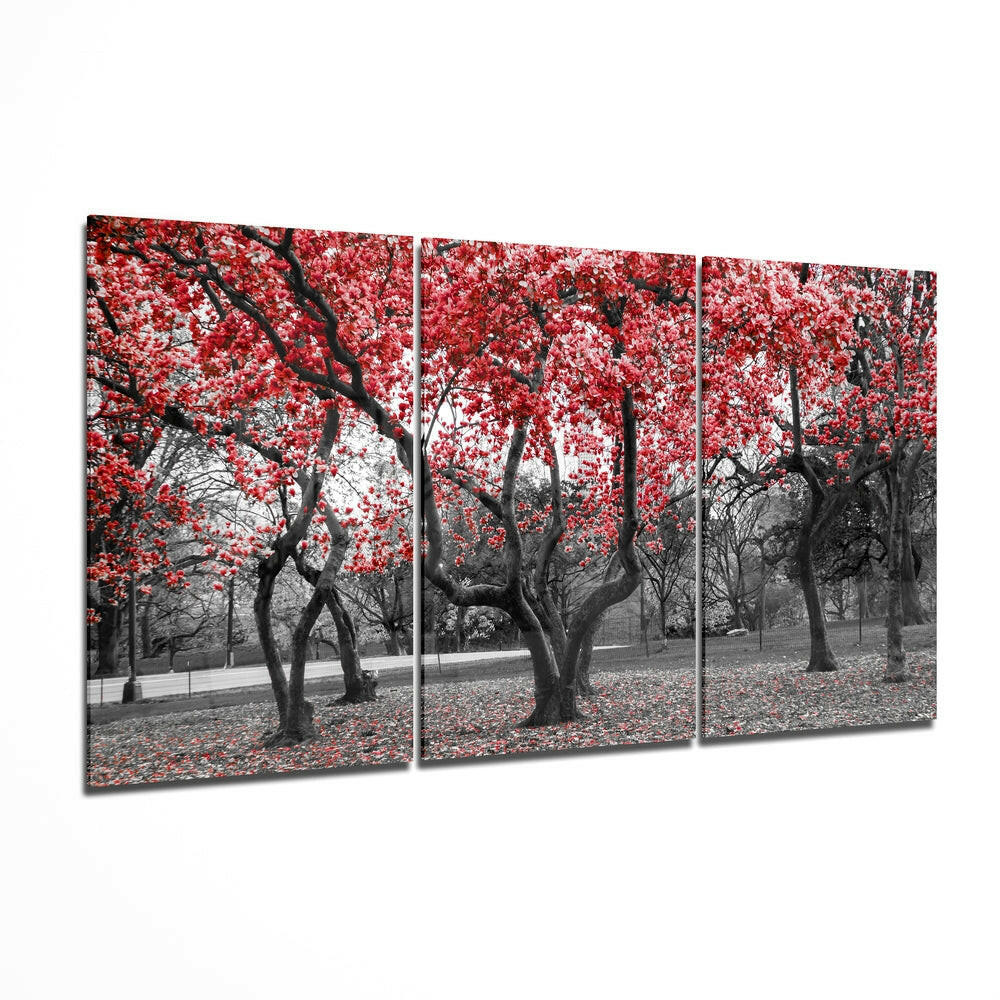 Trees & Forests