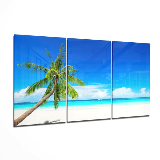 Palm Glass Wall Art on the Beach