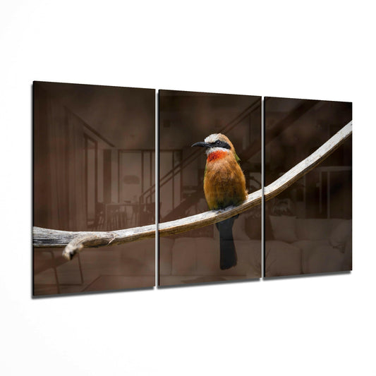 Bee-eater Glass Art