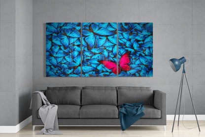 Multicolored butterfly artwork on a gray wall above a sofa